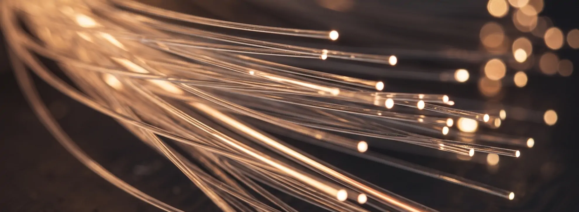Fiber Optic Splitter Guide