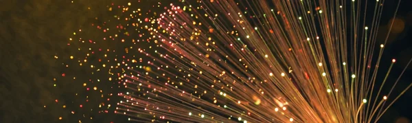 High-density fiber optic management in AI data center